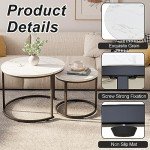 Round Nesting Coffee Table Set with Steel Frame