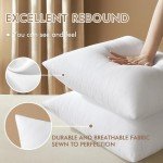 MIULEE 18x18 Decorative Throw Pillow Inserts - 2 Pack