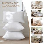 MIULEE 18x18 Decorative Throw Pillow Inserts - 2 Pack