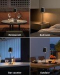 2 Pack Cordless LED Table Lamps - Battery Operated