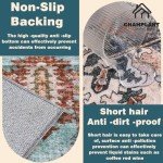 Champlant Retro Washable 3'x5' Area Rug