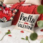 Valentine's Day Heart Throw Pillow Covers Set of 4
