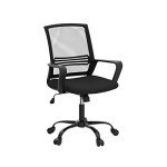 Ergonomic Mesh Desk Chair with Lumbar Support