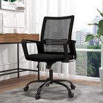 Ergonomic Mesh Desk Chair with Lumbar Support