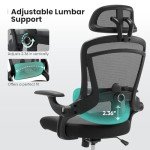Ergonomic Mesh Office Chair with Adjustable Headrest