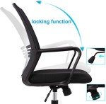 Ergonomic Mesh Desk Chair with Lumbar Support