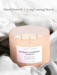 Raspberry Strawberry Vanilla 3-Wick Candle - 15.8 oz