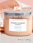 Raspberry Strawberry Vanilla 3-Wick Candle - 15.8 oz