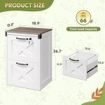 White Farmhouse 2 Drawer File Cabinet with Lock