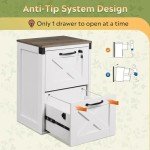White Farmhouse 2 Drawer File Cabinet with Lock