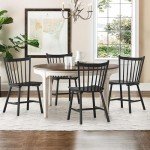 Set of 4 Black Farmhouse Dining Chairs