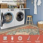 Lahome Boho Tribal 2x3 Area Rug - Entryway Mat