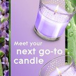 Tranquil Lavender & Aloe Candle Jar, 3.4 Oz