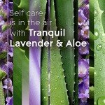 Tranquil Lavender & Aloe Candle Jar, 3.4 Oz