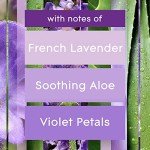 Tranquil Lavender & Aloe Candle Jar, 3.4 Oz