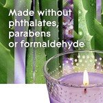 Tranquil Lavender & Aloe Candle Jar, 3.4 Oz