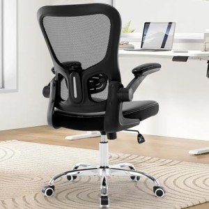 Ergonomic Office Chair with Lumbar Support and Comfort