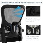 Ergonomic Office Chair with Lumbar Support and Comfort