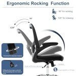 Ergonomic Office Chair with Lumbar Support and Comfort