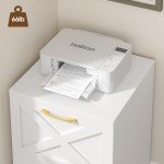 Farmhouse 2-Drawer Rolling File Cabinet in White