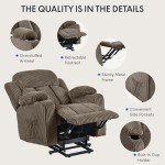 FLEXISPOT Electric Lift Recliner Chair with Massage