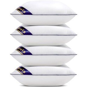 Set of 4 Decorative 20x20 Pillow Inserts