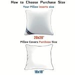 Set of 4 Decorative 20x20 Pillow Inserts