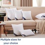 Set of 4 Decorative 20x20 Pillow Inserts