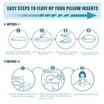 Set of 4 Decorative 20x20 Pillow Inserts