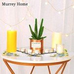 Murrey Home Full-Length Wall Mirrors Set of 12