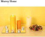 Murrey Home Full-Length Wall Mirrors Set of 12