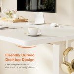 Sweetcrispy Adjustable Height Standing Desk - 55"x24