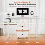 Sweetcrispy Adjustable Height Standing Desk - 55"x24