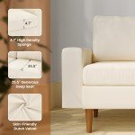 Beige Velvet 66'' Modern Loveseat Sofa