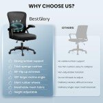 Ergonomic Office Chair with Adjustable Lumbar Support