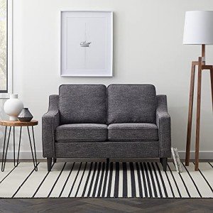 Charcoal Upholstered Loveseat - Modern Living Room Sofa