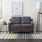 Charcoal Upholstered Loveseat - Modern Living Room Sofa