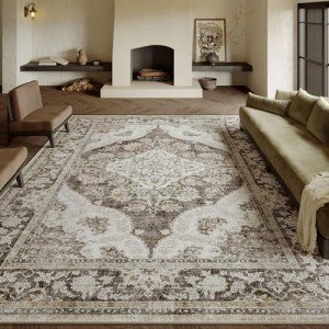 Brown Vintage 6x9 Washable Area Rug for Home