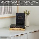 Stylish Black and Gold Decorative Faux Books Set