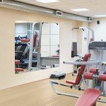Large Frameless Gym Wall Mirror Tiles - 16PCS