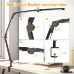 Adjustable LED Desk Lamp with Clamp and Flexibility