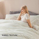 Cozy Cream Queen Fluffy Comforter Set