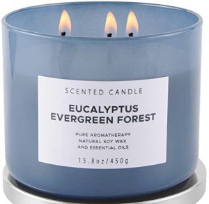 Eucalyptus Pine Scented 3-Wick Candle 15.8 oz