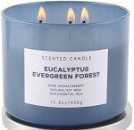 Eucalyptus Pine Scented 3-Wick Candle 15.8 oz