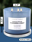 Eucalyptus Pine Scented 3-Wick Candle 15.8 oz