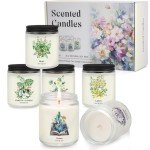 Aromatherapy Candle Gift Set - 6 Pack