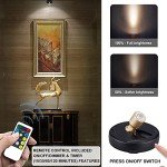 Gold Wireless LED Spotlight with Remote Control