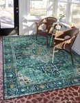 Moynesa Vintage Area Rug - 5x7 Boho Design