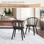 Set of 4 Black Farmhouse Dining Chairs