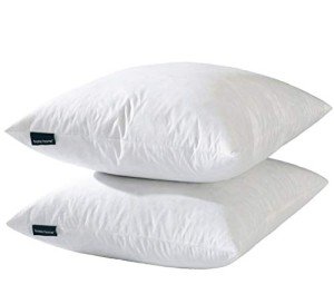 Set of 2 White Down Feather Pillow Inserts
